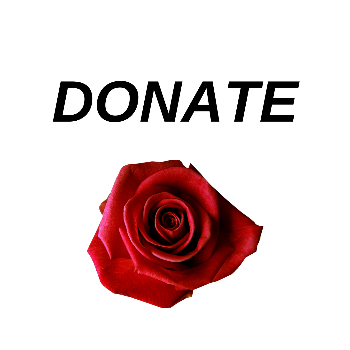 Donate